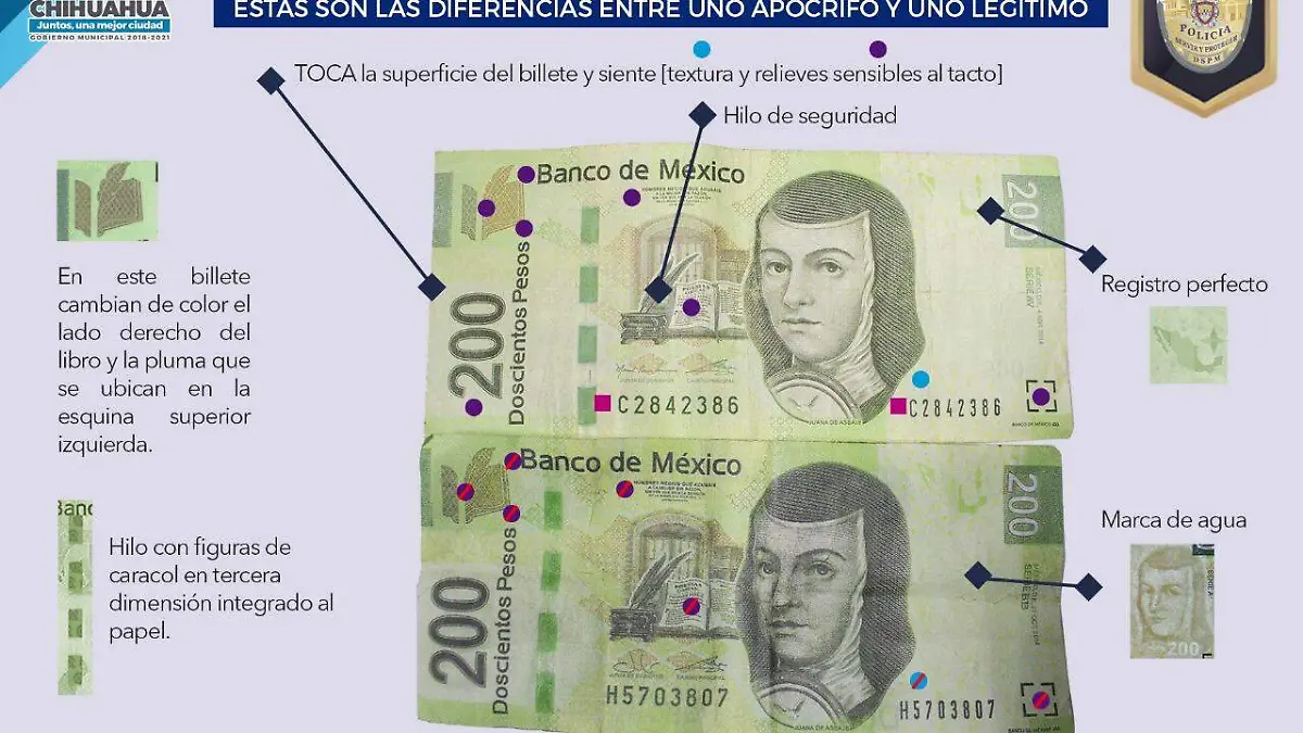 billetes falsos